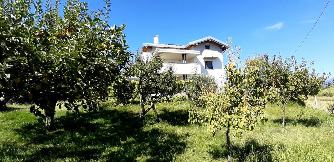 Al Settimo Miglio, Alloggio Agrituristico Villa Treppo Grande Kültér fotó